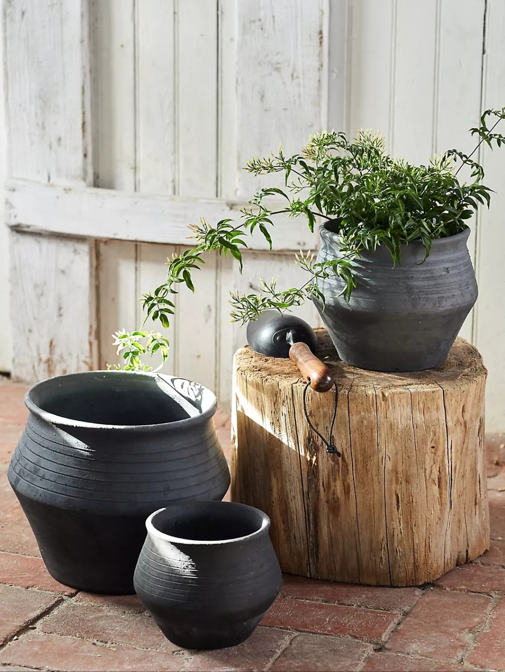 ISO ! In Search Of 9in Charcoal Ceramic Ridge Planter By Terrain, Anthropologie